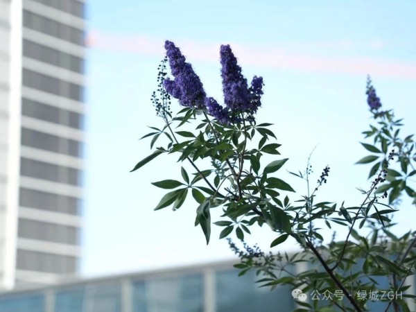 微信图片_2025-12-15_105852_916.jpg 微信图片_2025-12-15_105852_916.jpg