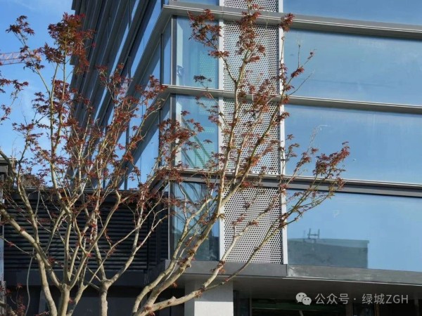 微信图片_2025-12-15_105859_635.jpg 微信图片_2025-12-15_105859_635.jpg